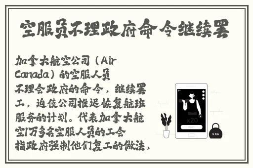 音乐老师的兔子真大